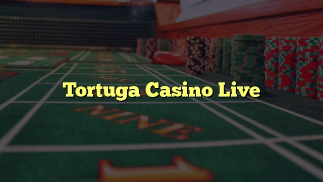 Découvrez les Avantages de Tortuga Casino en Ligne Pour les Joueurs Français, tortuga casino bonus
